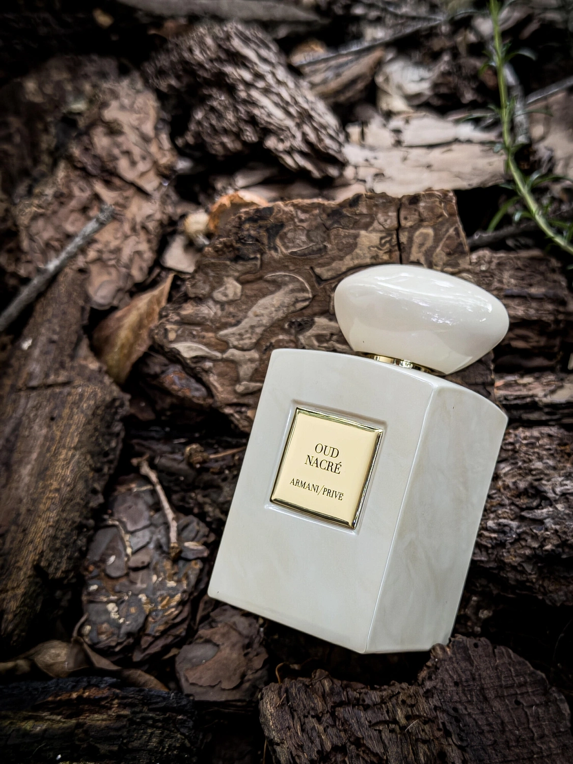 Armani Oud Nacre