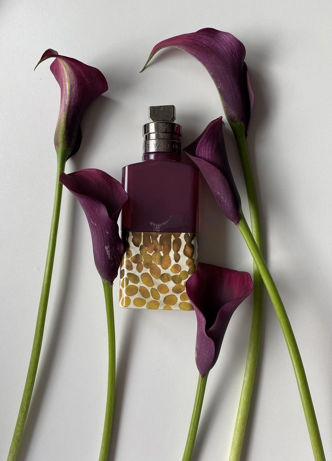 Dries Van Noten Velvet Violet