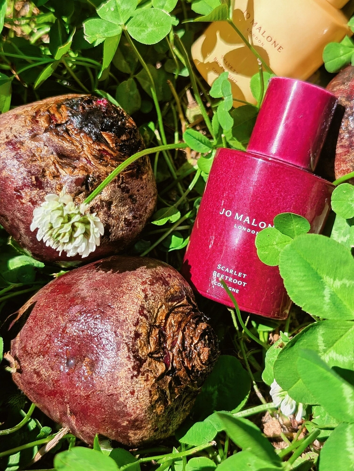 Jo Malone Scarlet Beetroot