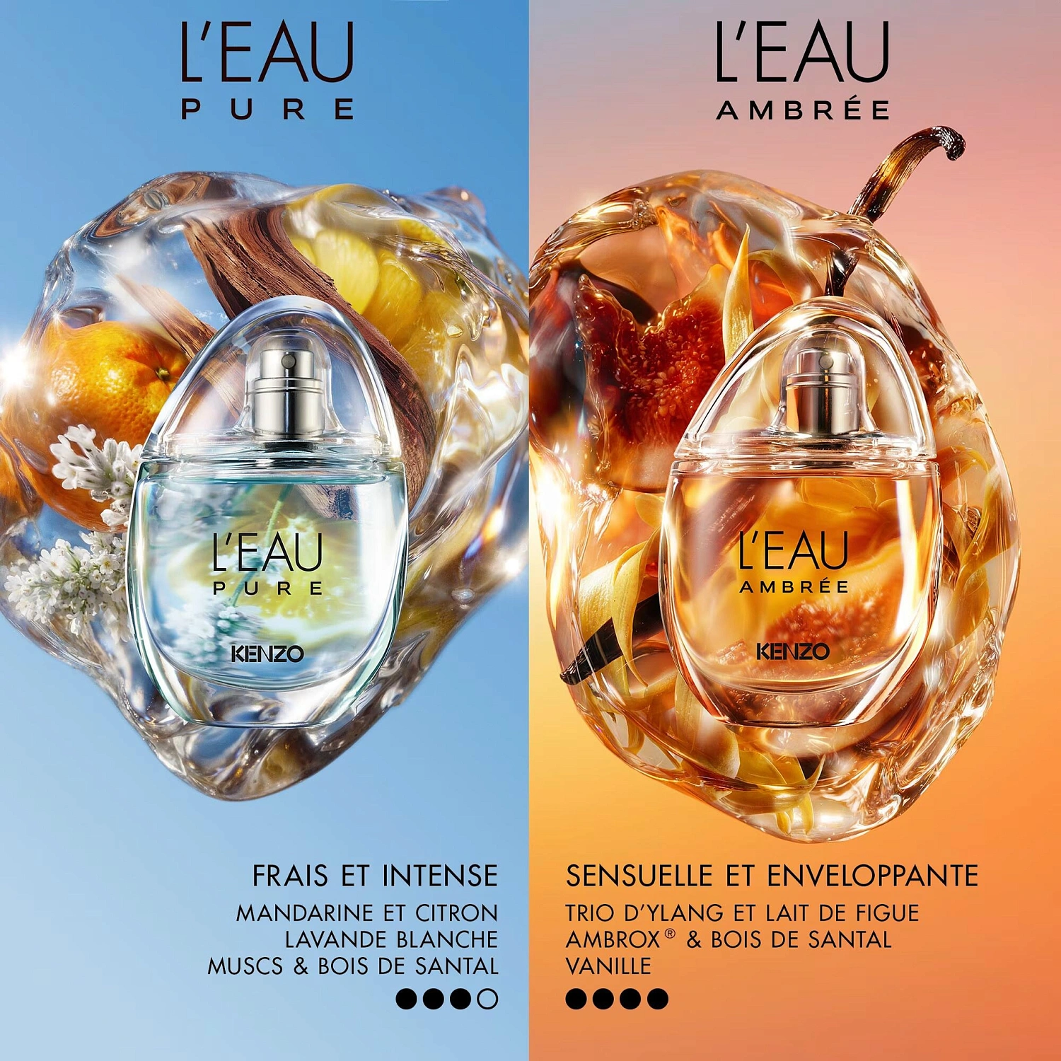 Kenzo L'Eau Ambree