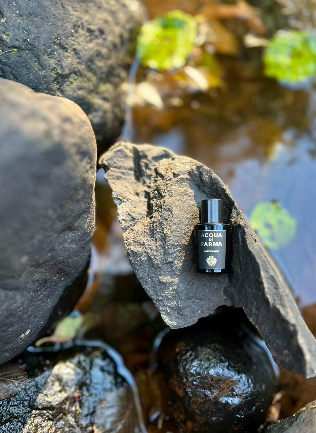 Acqua di Parma Zafferano