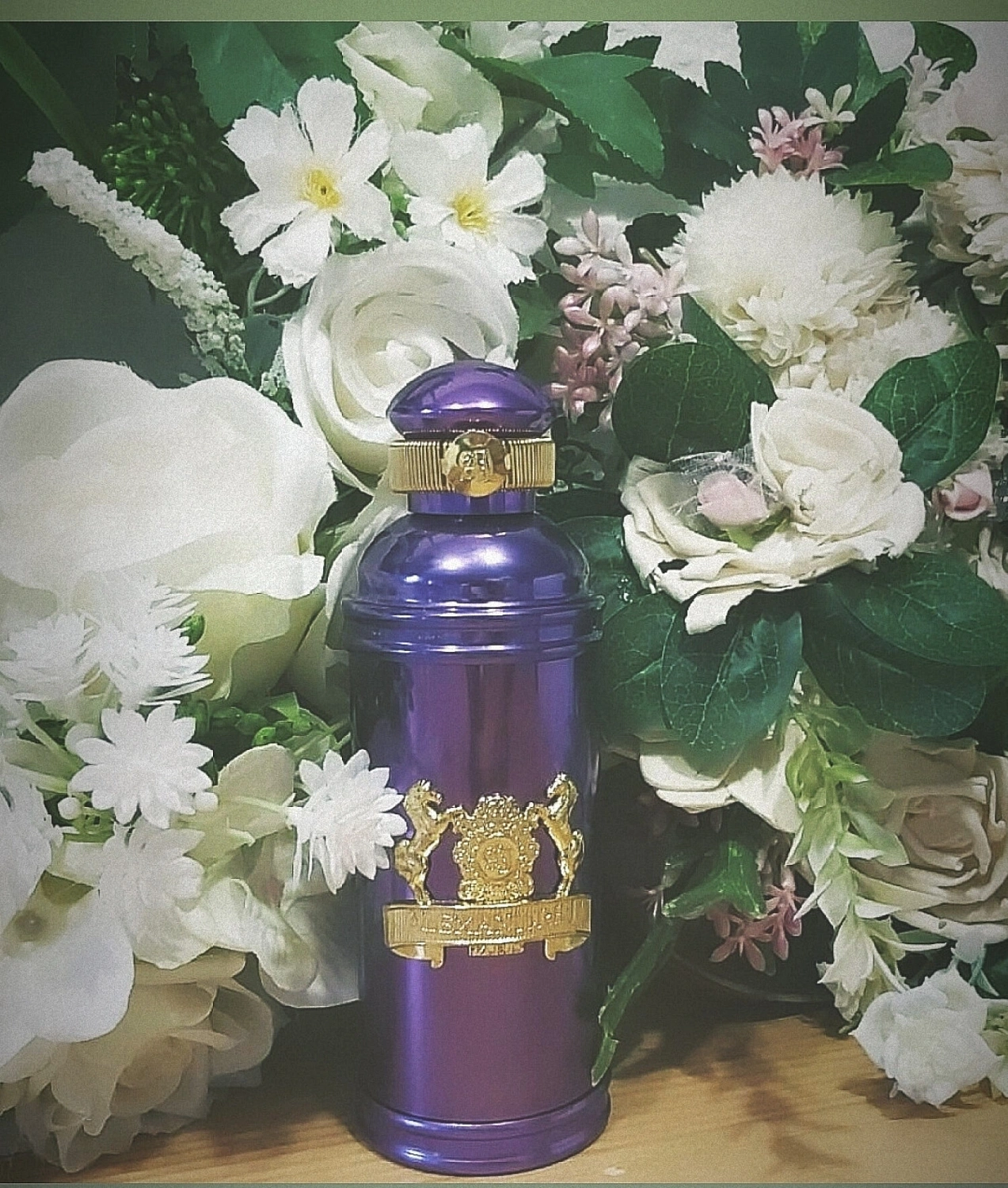 Alexandre J Iris Violet