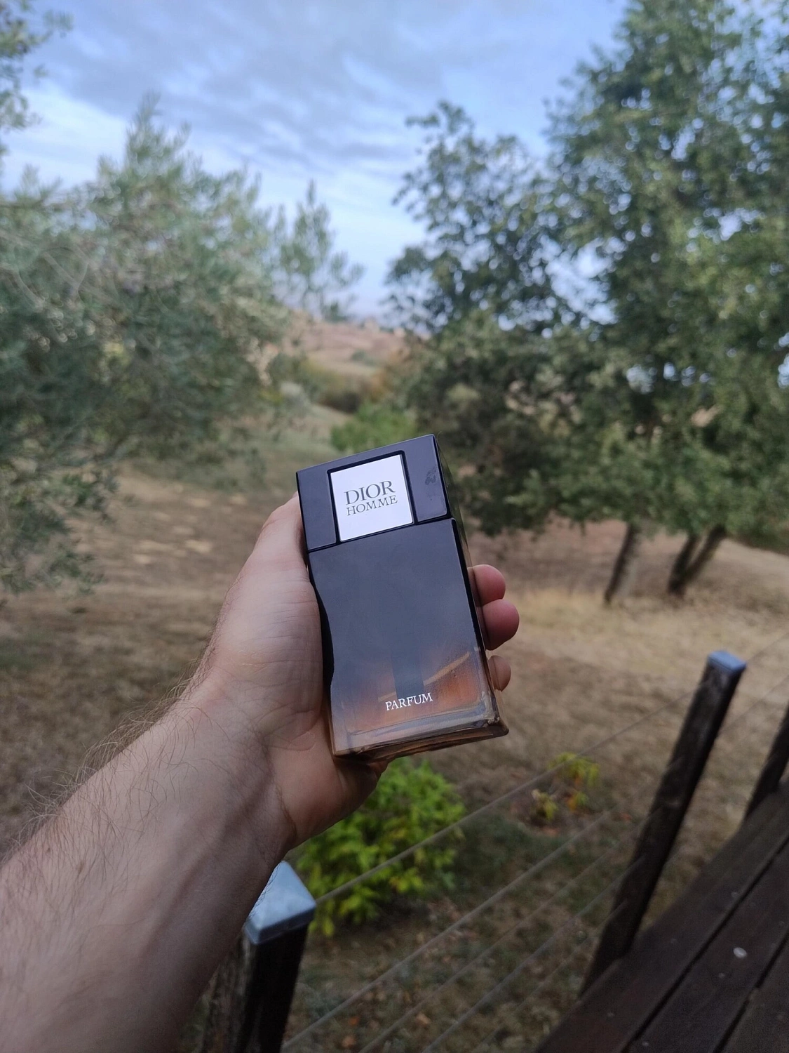 Christian Dior Homme Parfum 2025