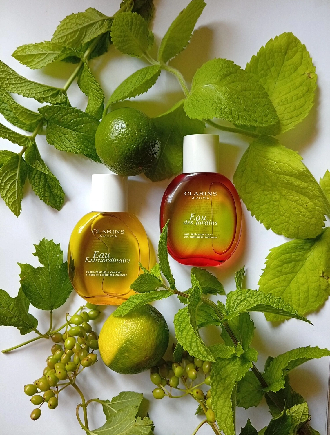 Clarins Eau des Jardins