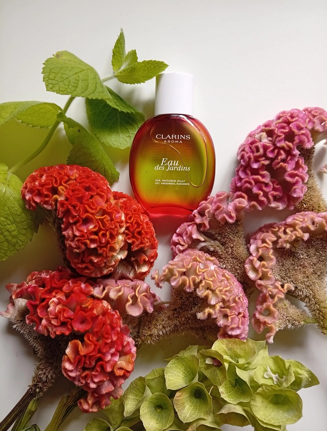 Clarins Eau des Jardins