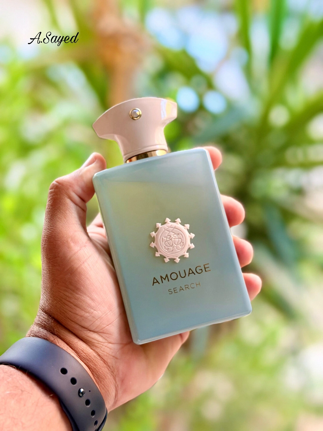 Amouage Search