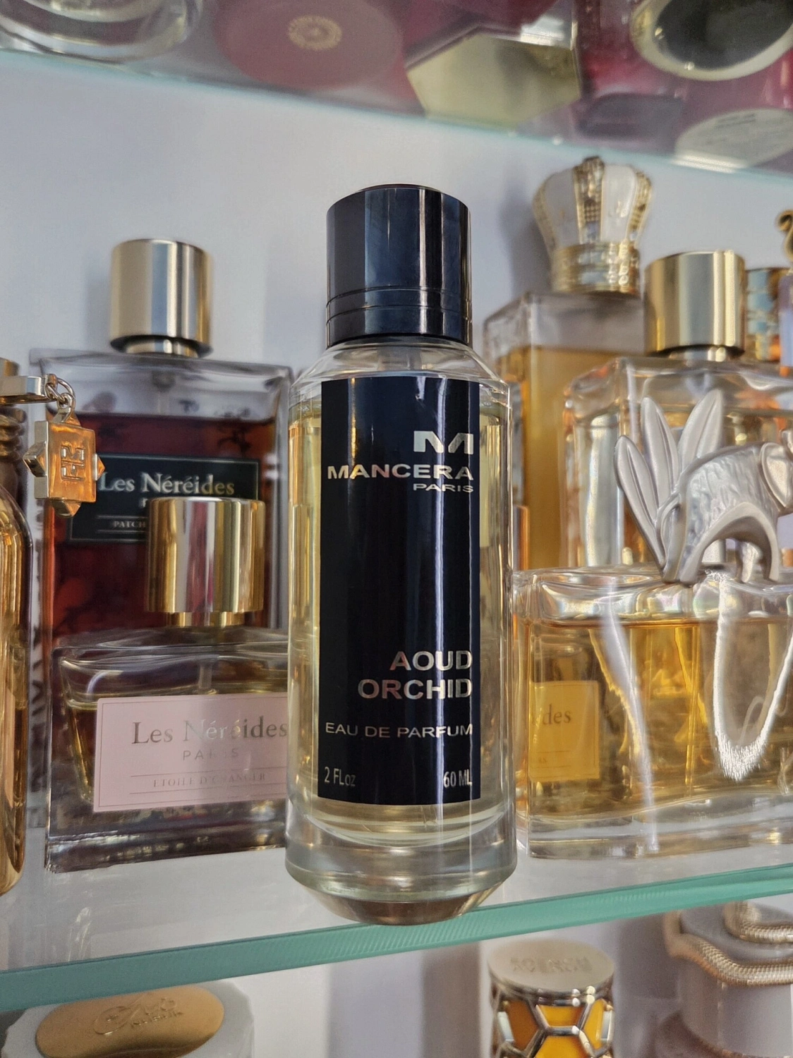 Mancera Aoud Orchid