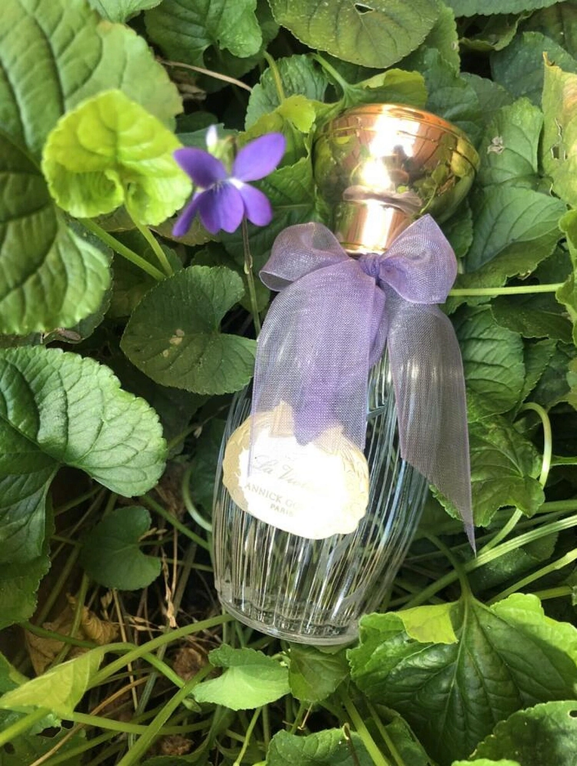 Annick Goutal La Violette