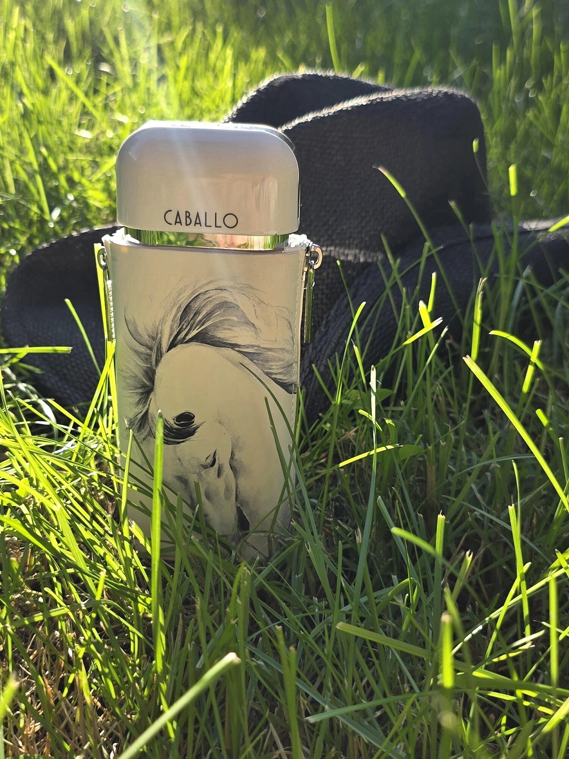 Armaf Caballo Pour Homme
