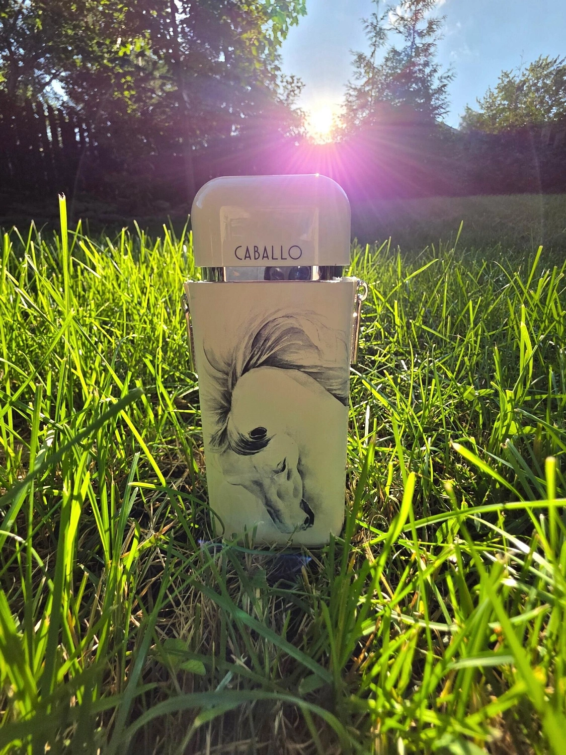 Armaf Caballo Pour Homme