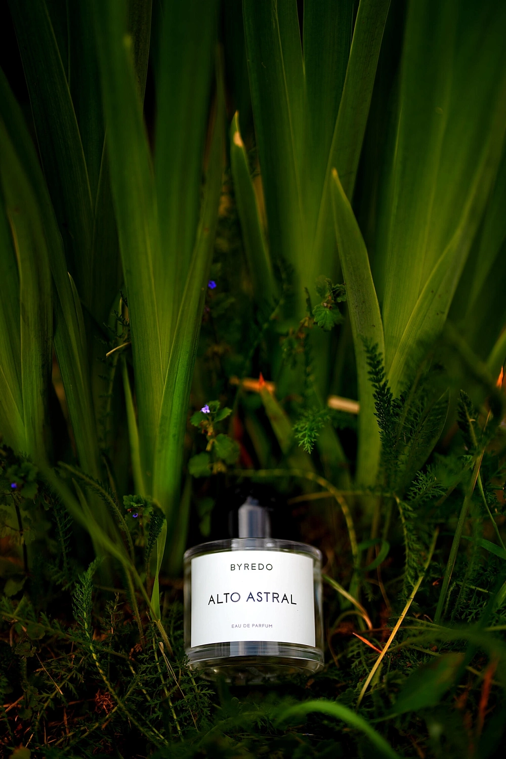 BYREDO Alto Astral