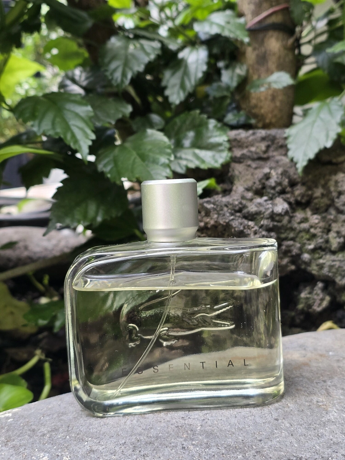 Lacoste Essential