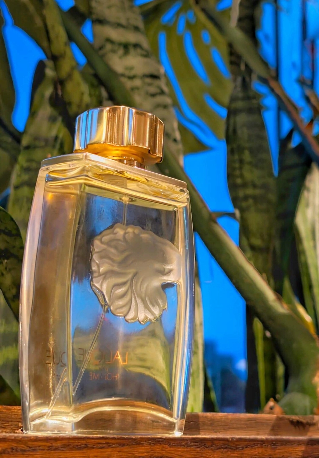 Lalique Pour Homme