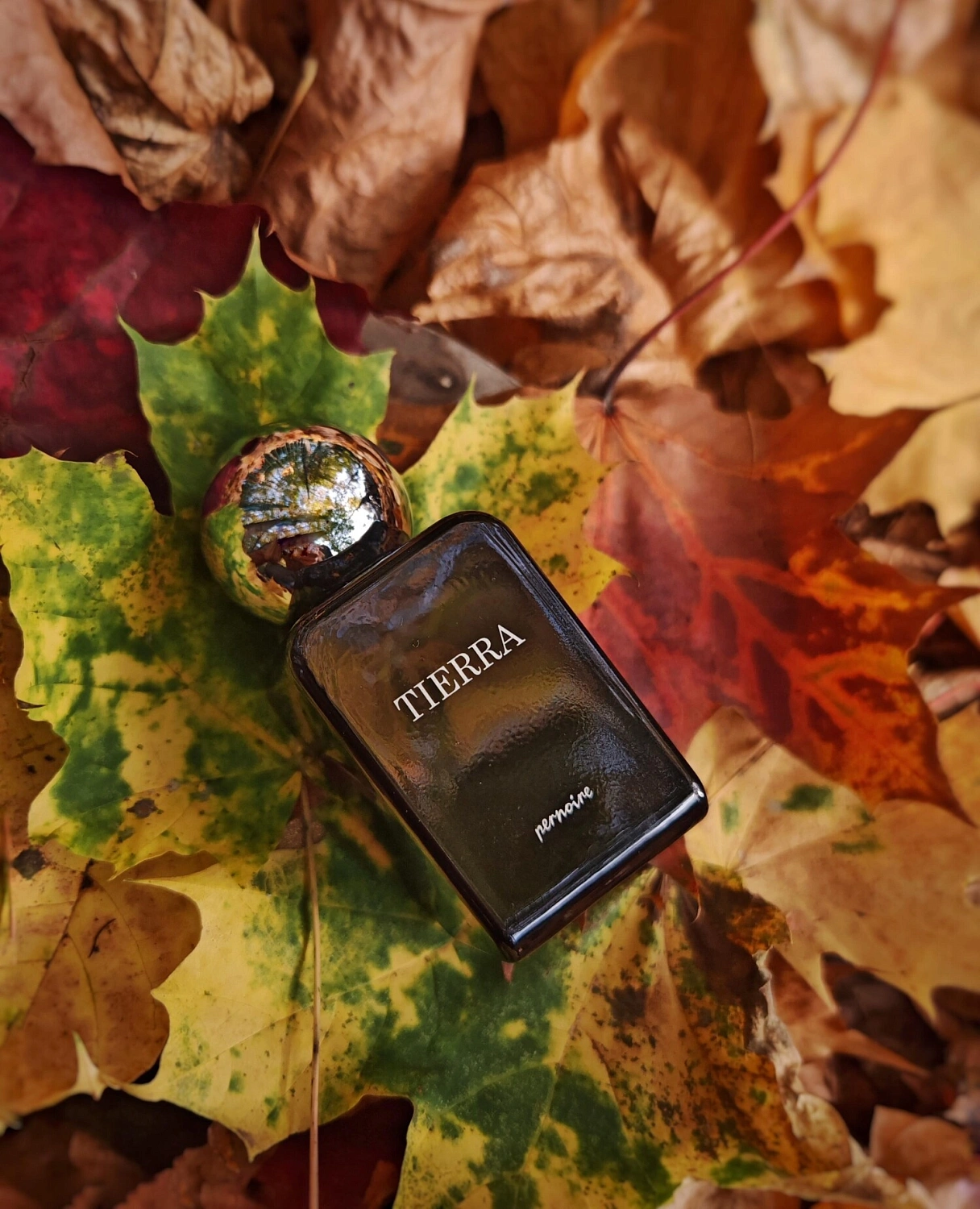 Pernoire Tierra