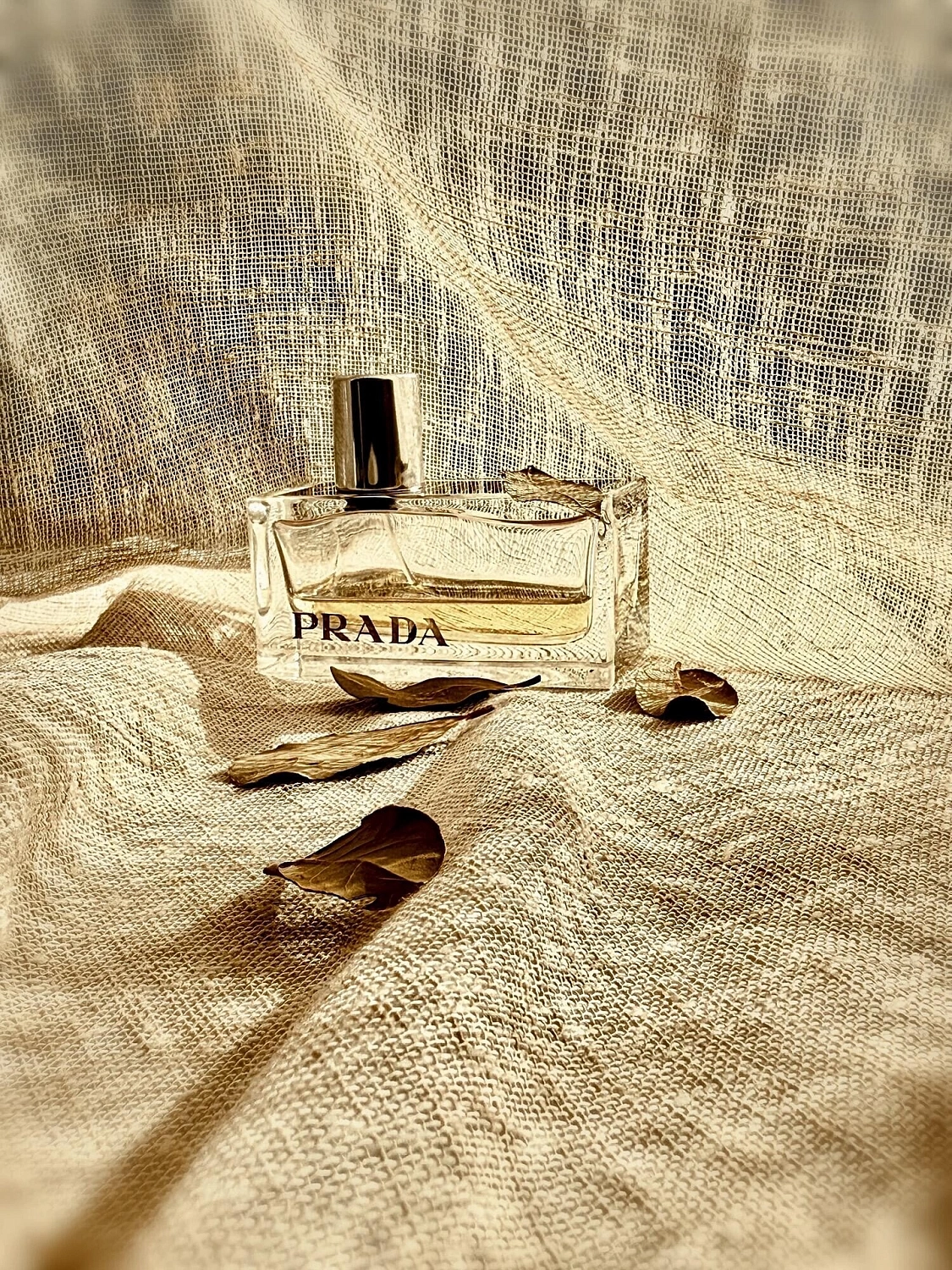 Prada Amber
