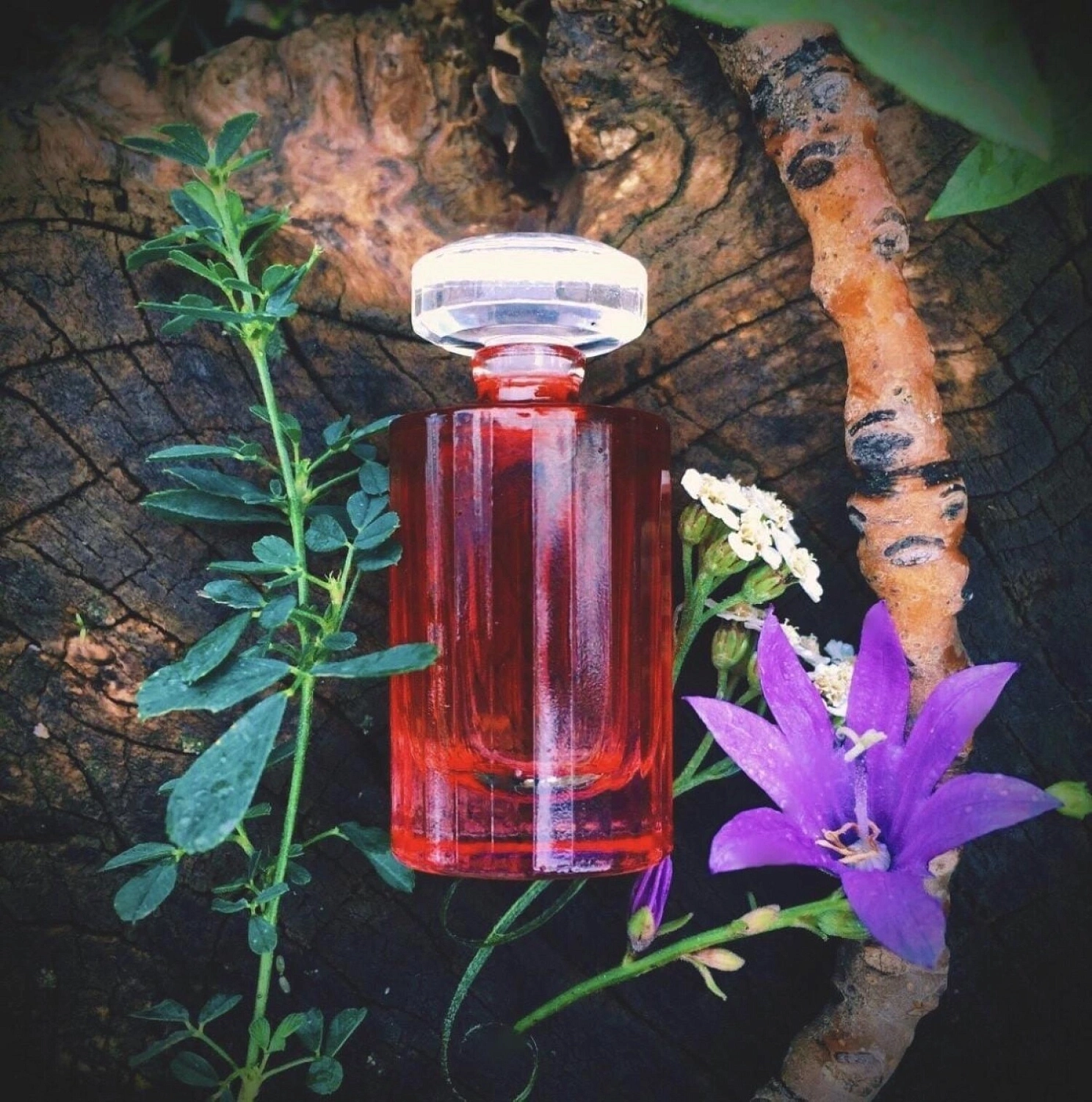 Lancôme Magnifique