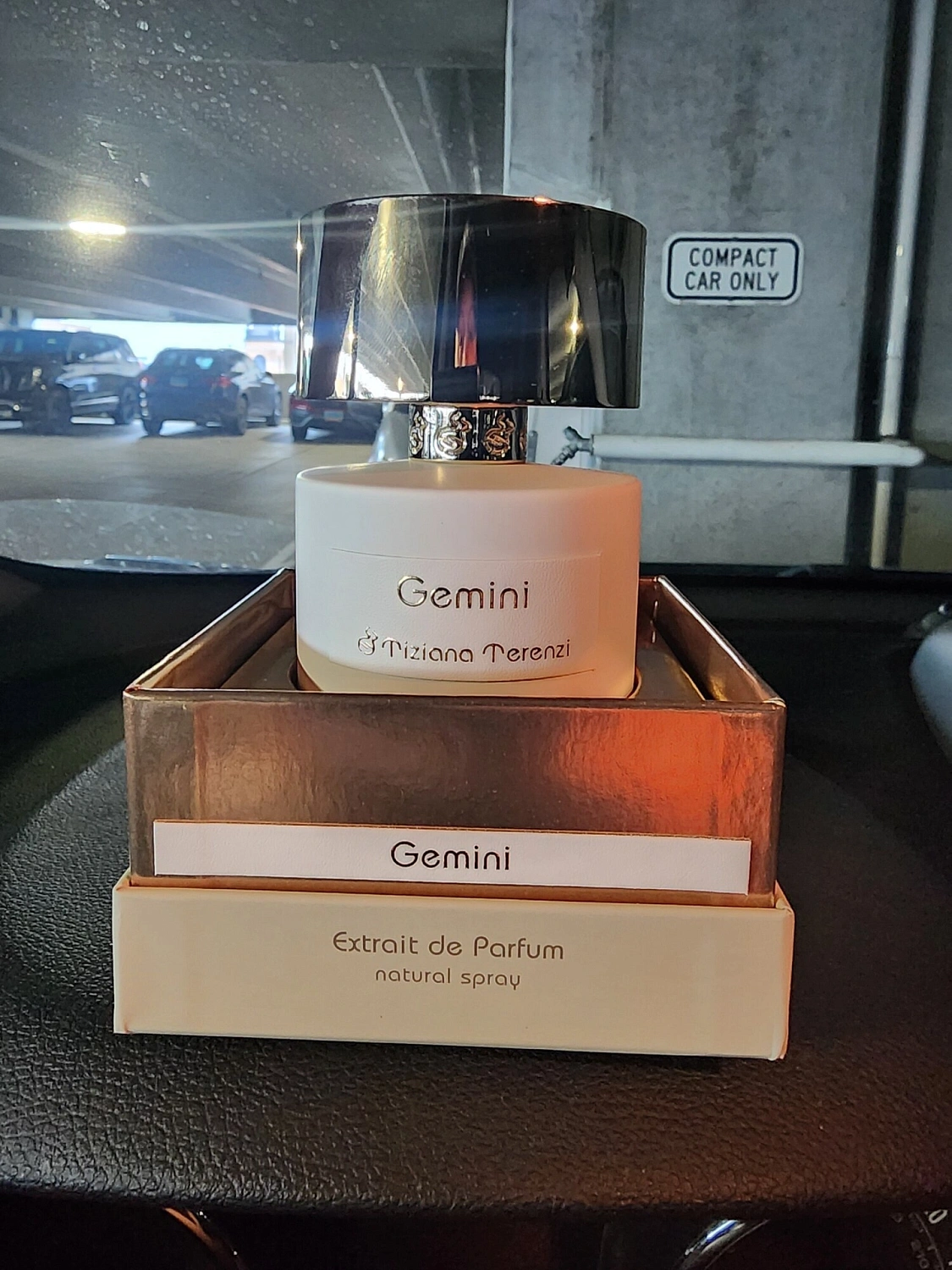 Tiziana Terenzi Gemini