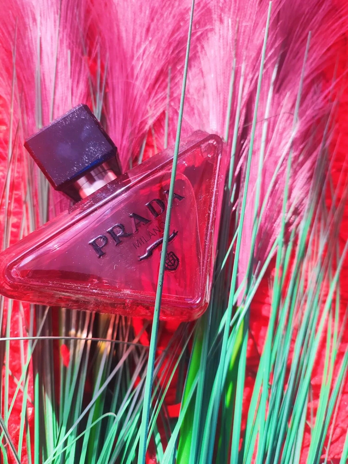 Prada Paradoxe Radical Essence