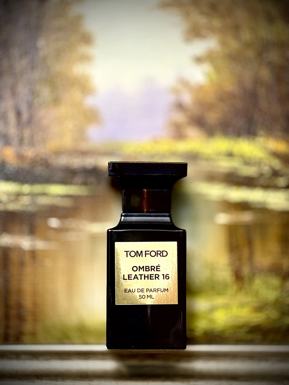 Tom Ford Ombre Leather 16