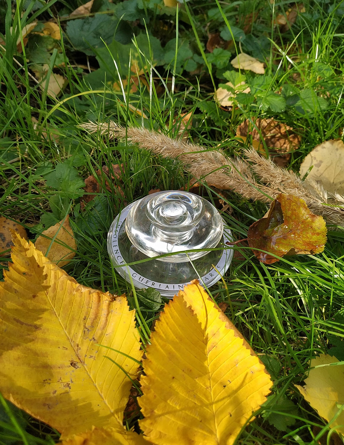 Guerlain Insolence Eau Glacee