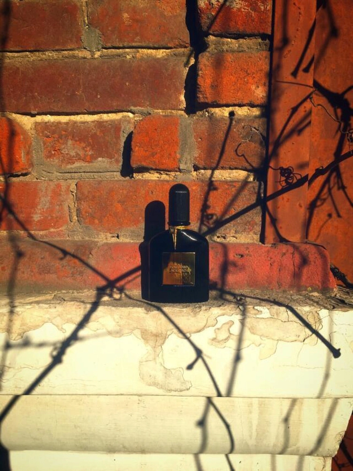 Tom Ford Black Orchid Perfume Lalique Edition