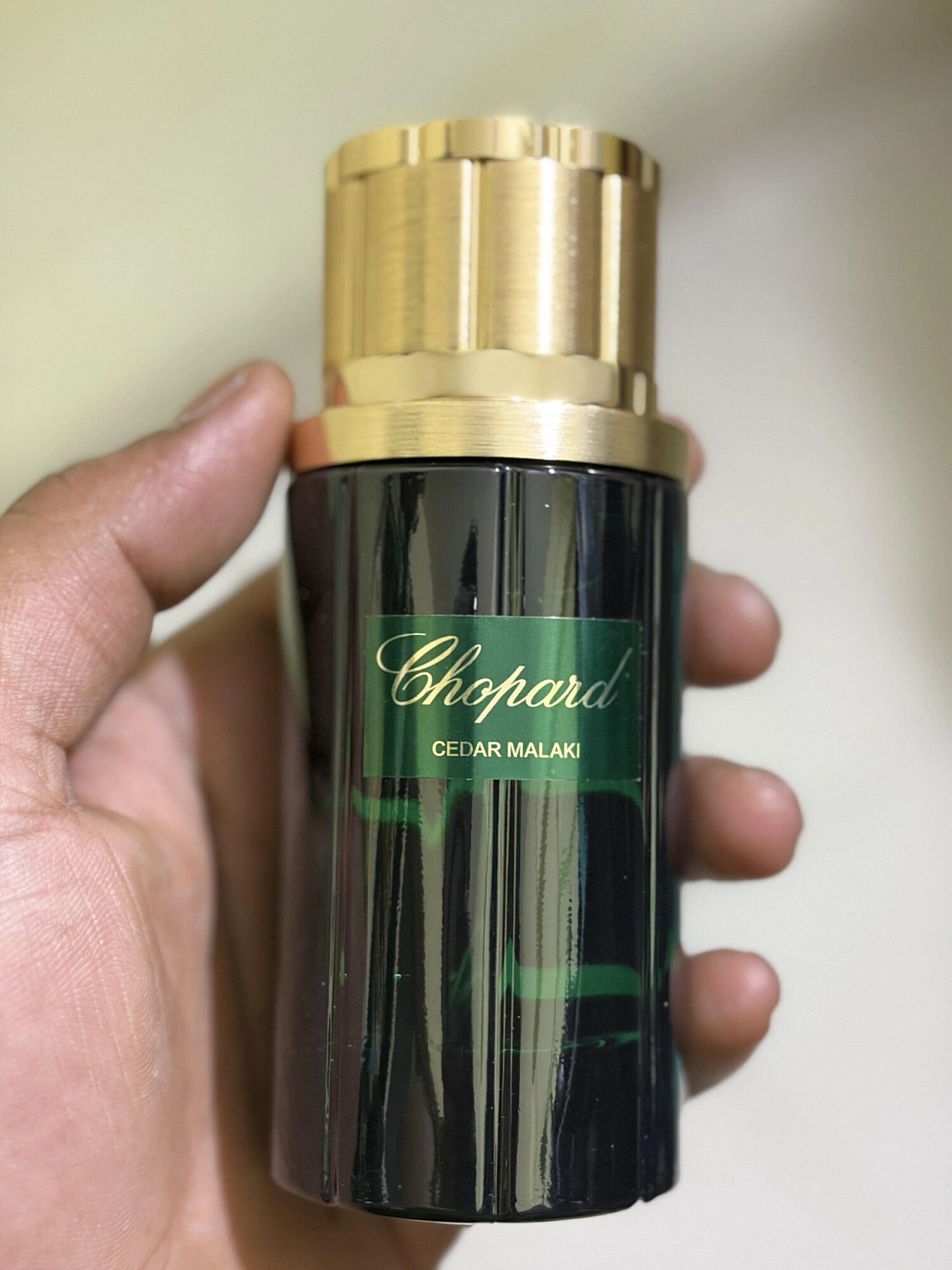 Chopard Cedar Malaki