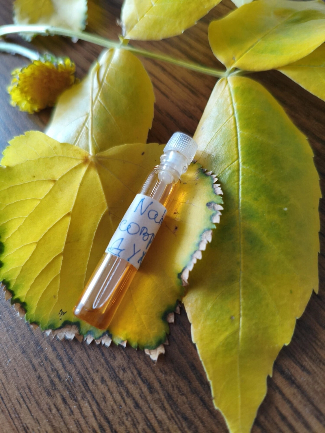 Guerlain Nahema