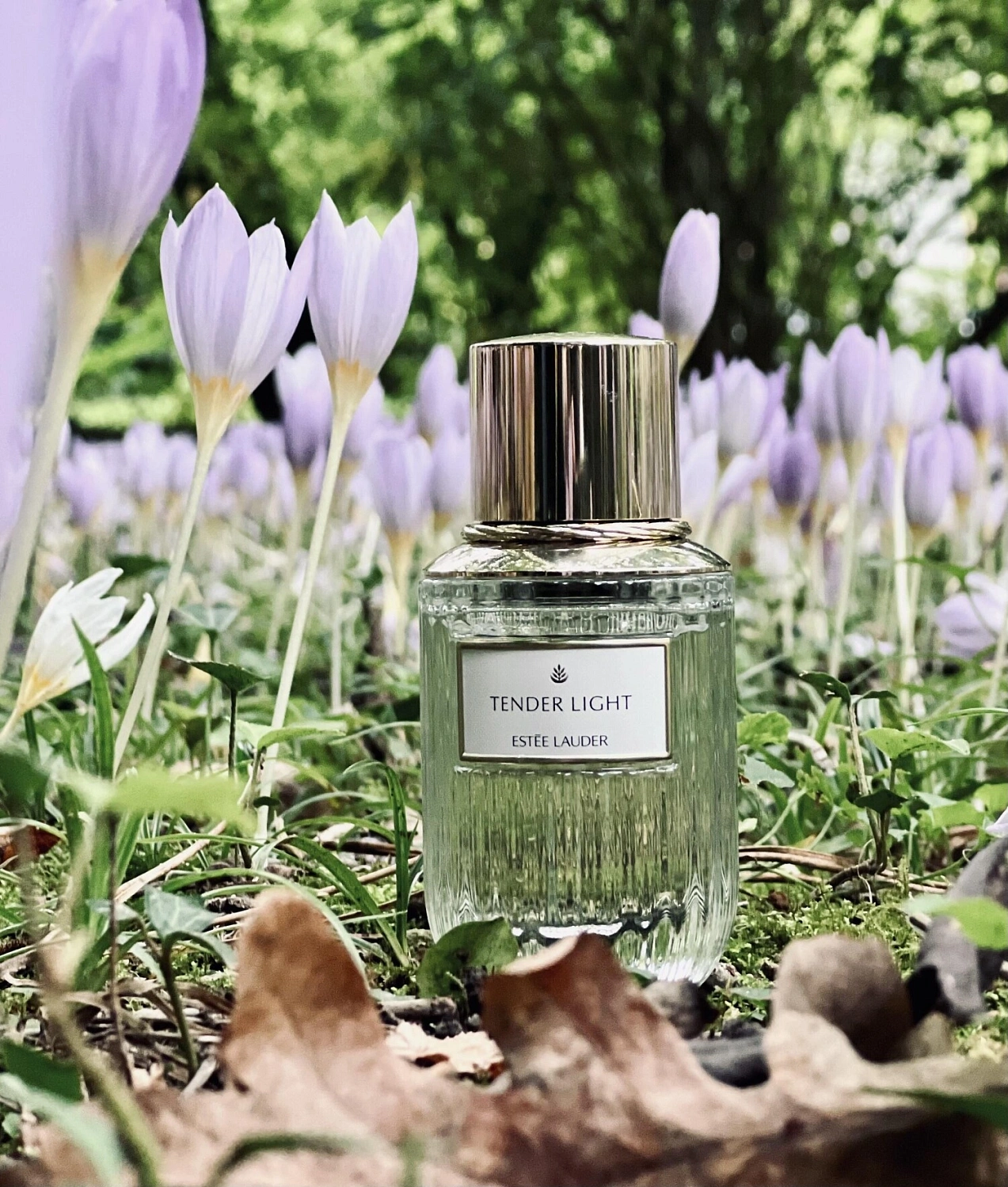 Estée Lauder Tender Light