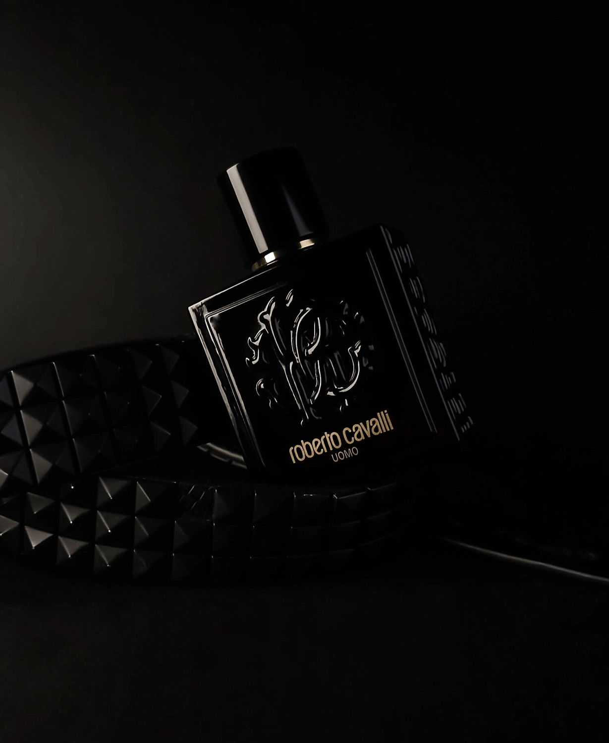 Roberto Cavalli Uomo