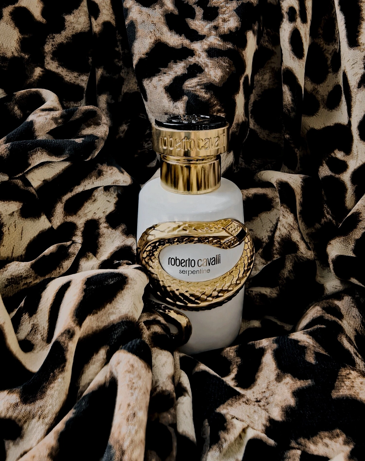 Roberto Cavalli Serpentine 2025