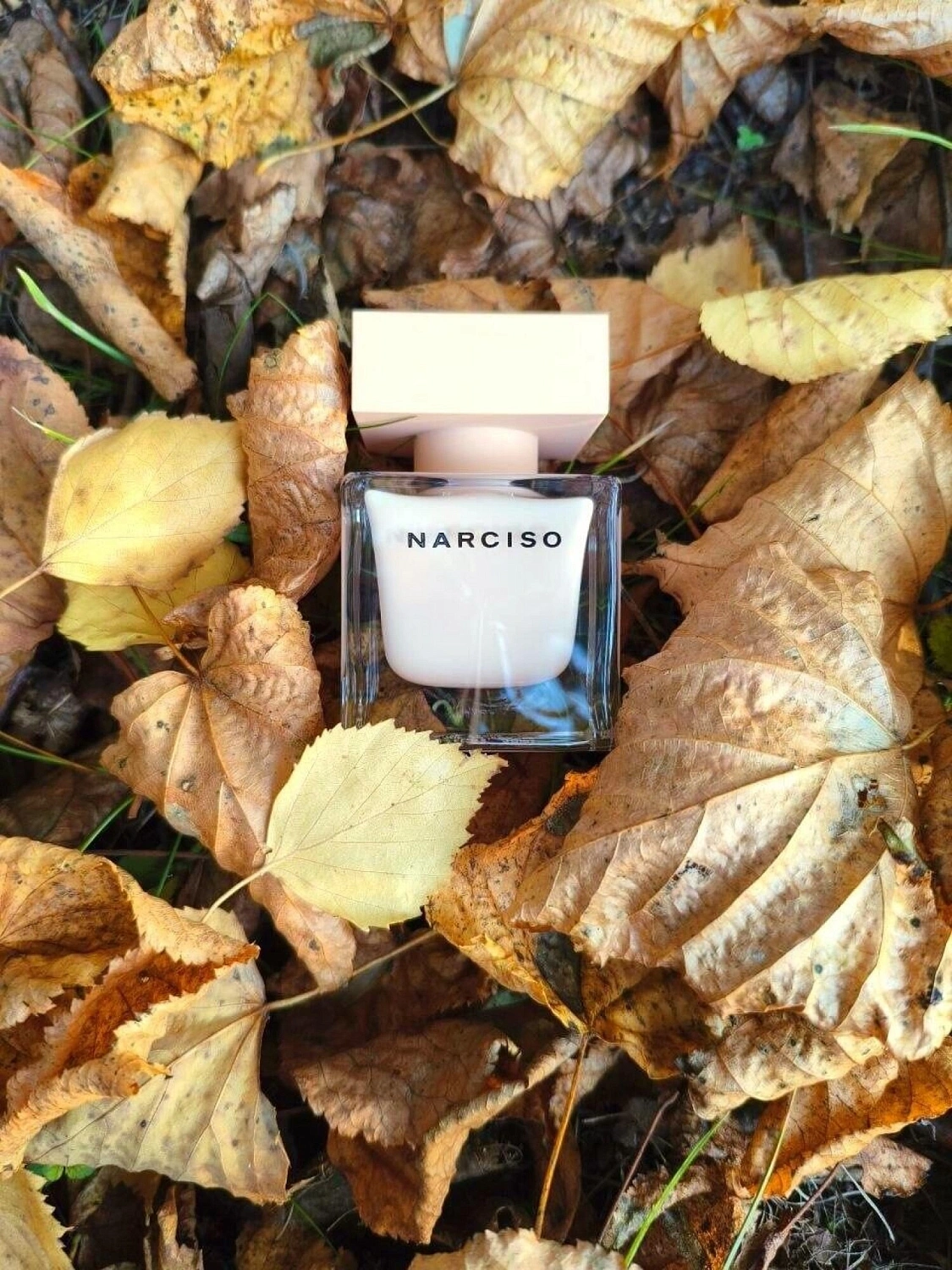 Narciso Rodriguez Narciso Poudree