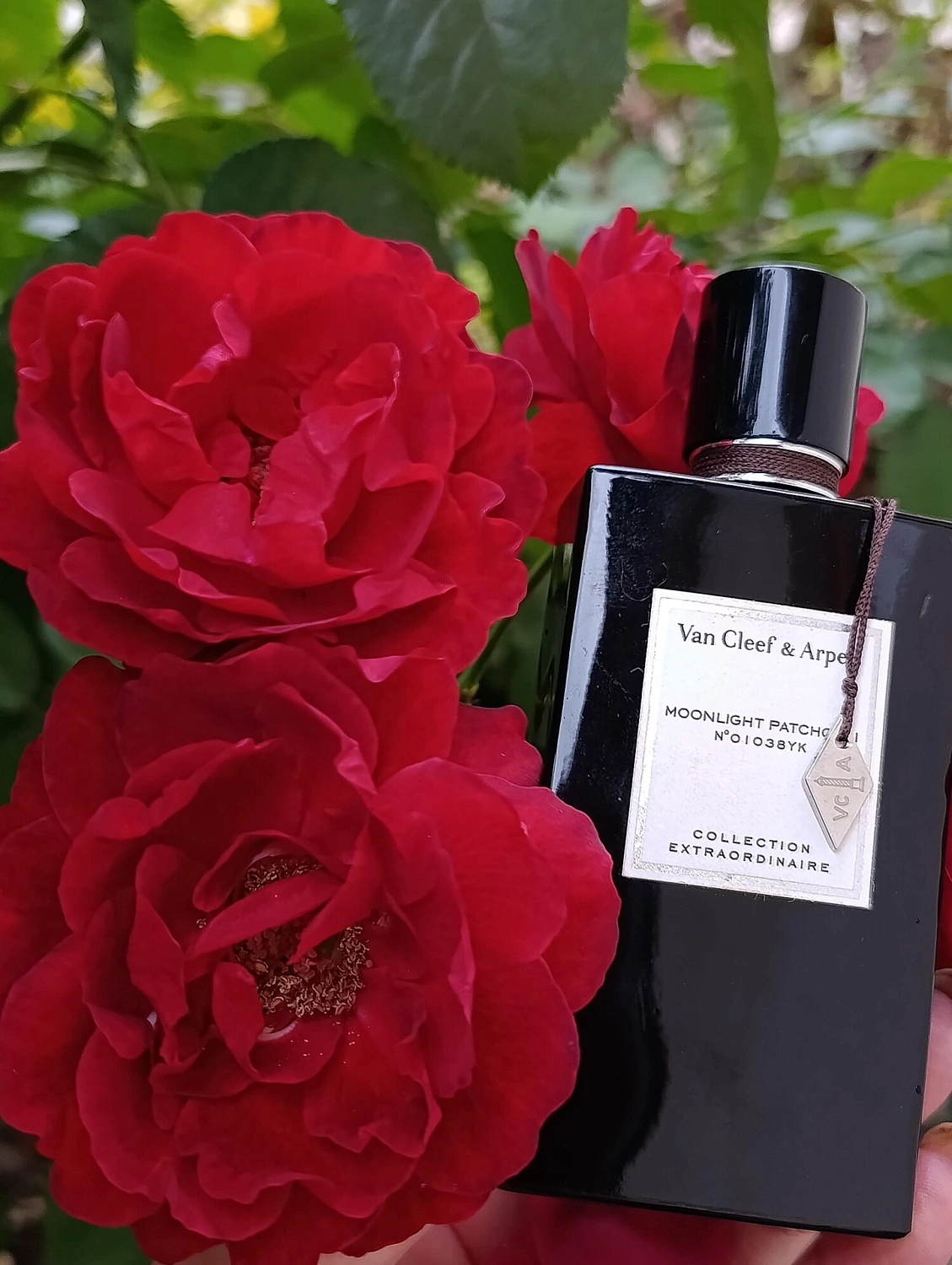 Van Cleef & Arpels Moonlight Patchouli