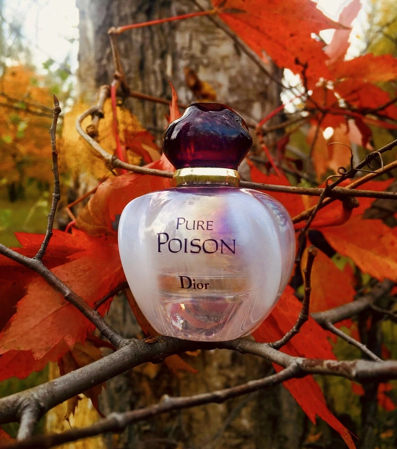 Christian Dior Pure Poison Elixir