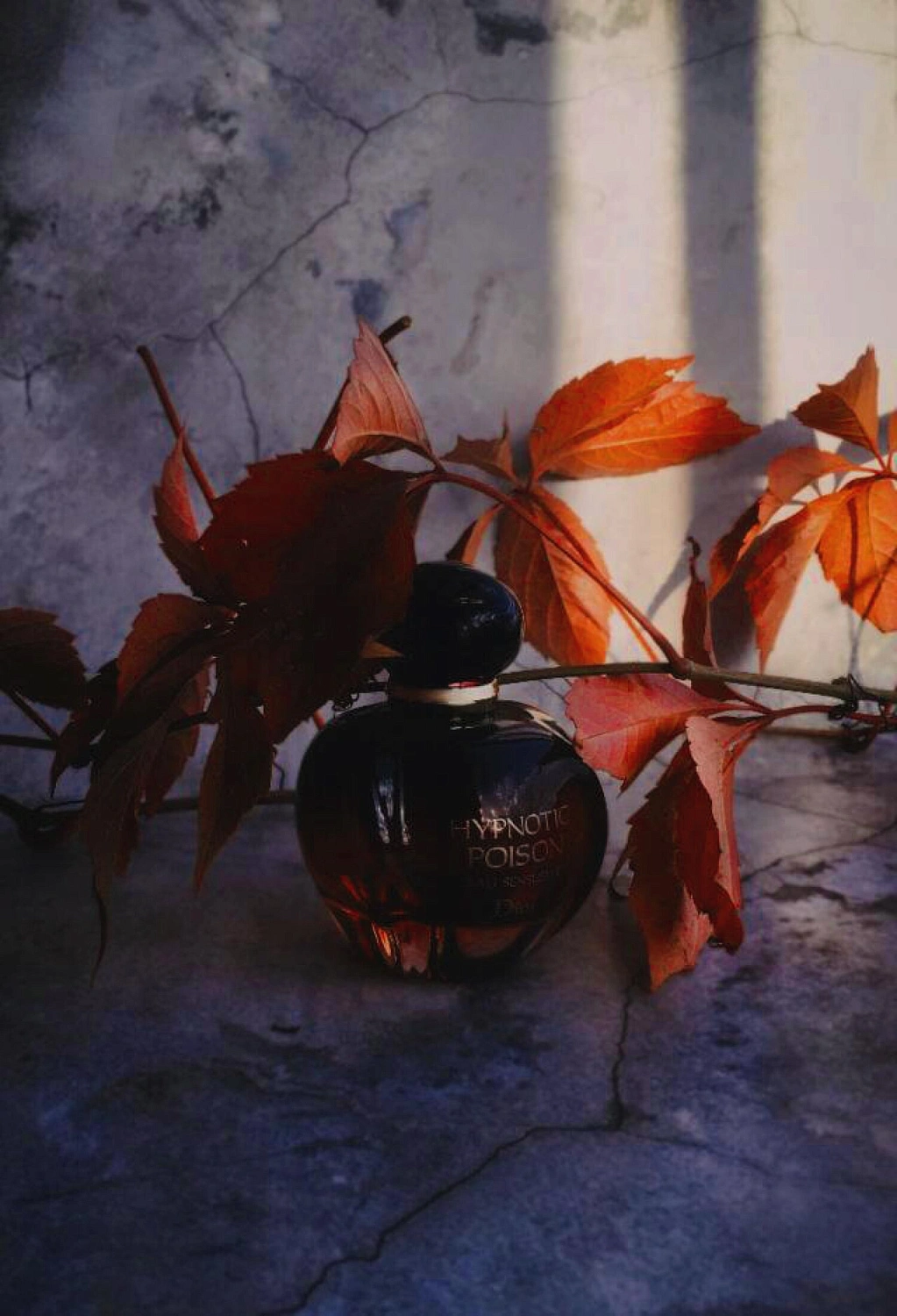 Christian Dior Elixir Hypnotic Poison