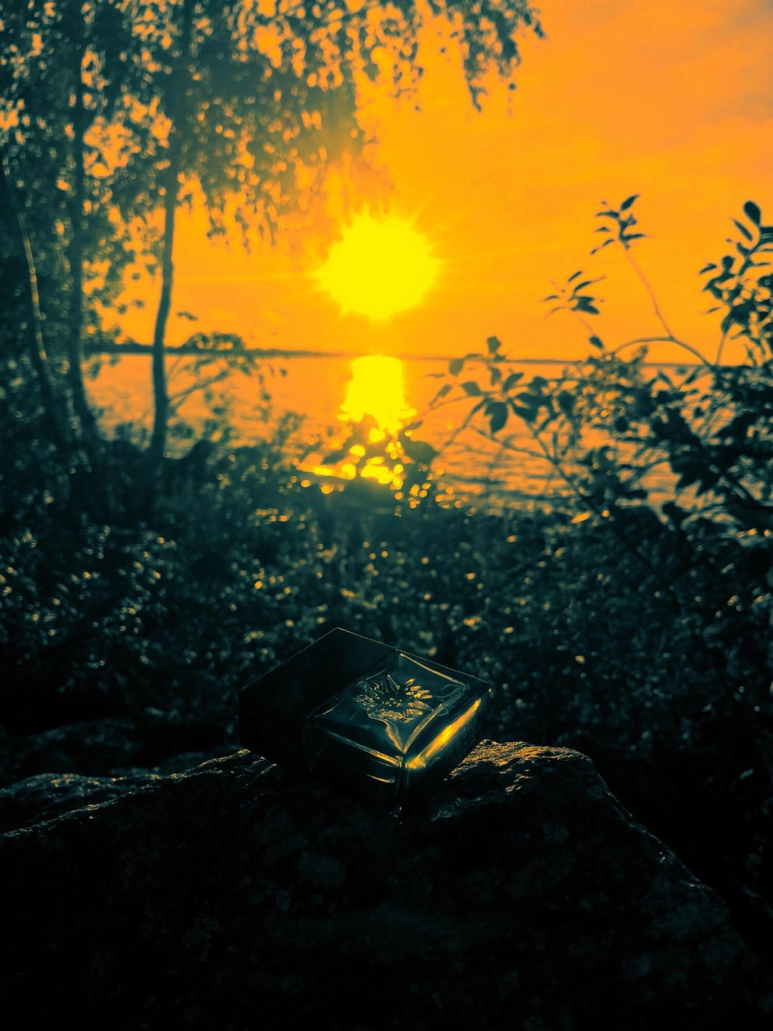 Salvador Dalí Black Sun
