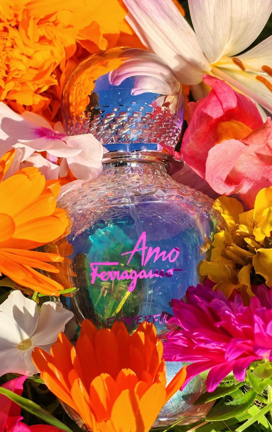 Salvatore Ferragamo Amo Ferragamo Flowerful