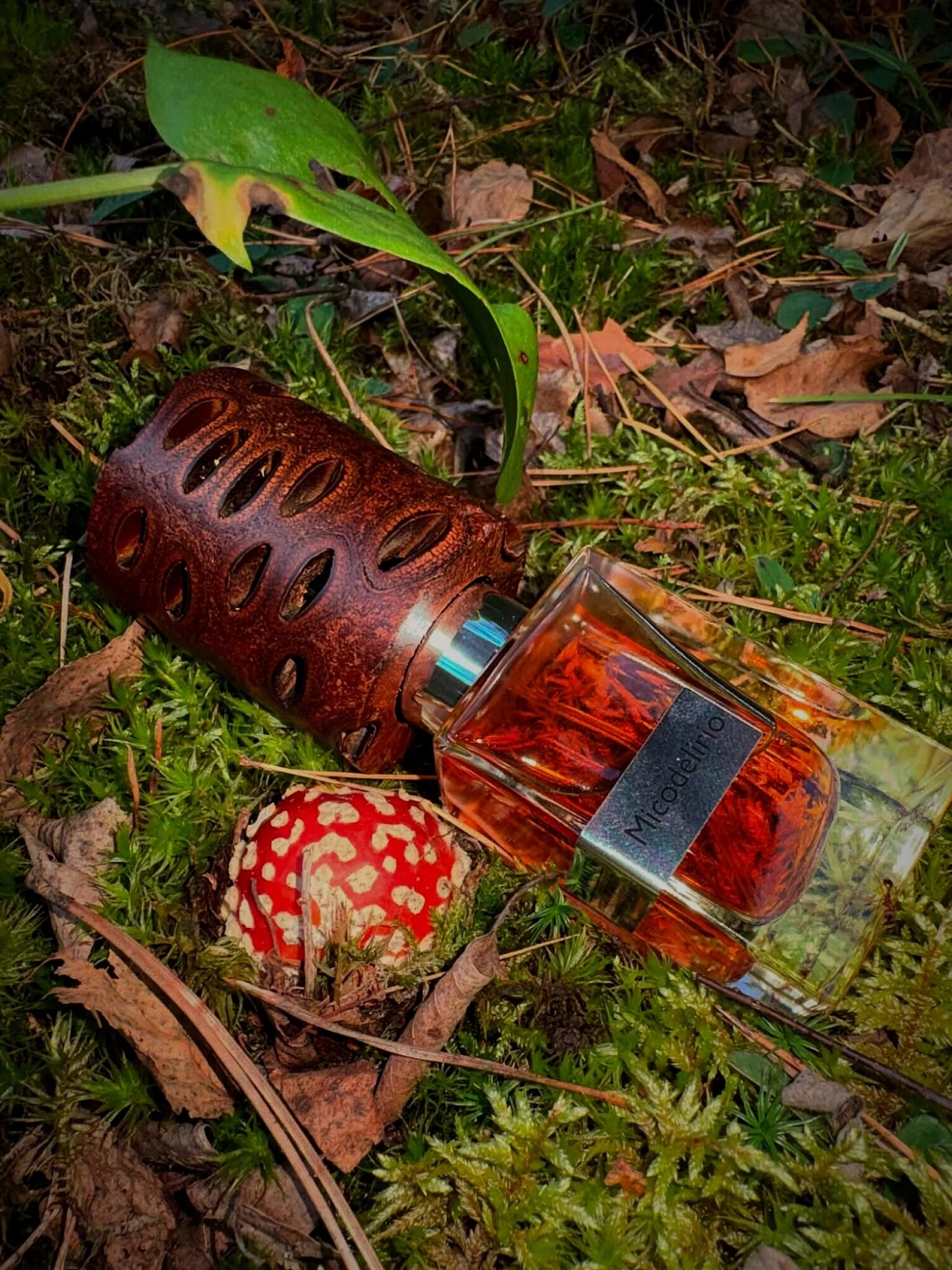 Nasomatto Micodelirio