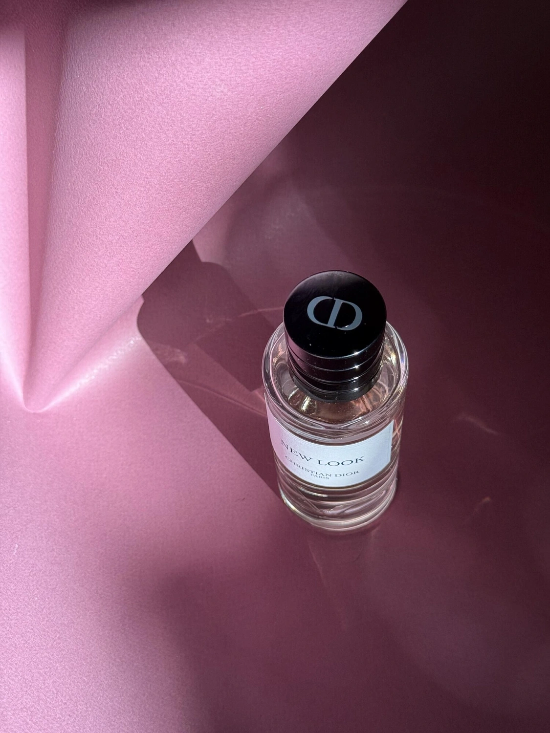 Christian Dior New Look 2024