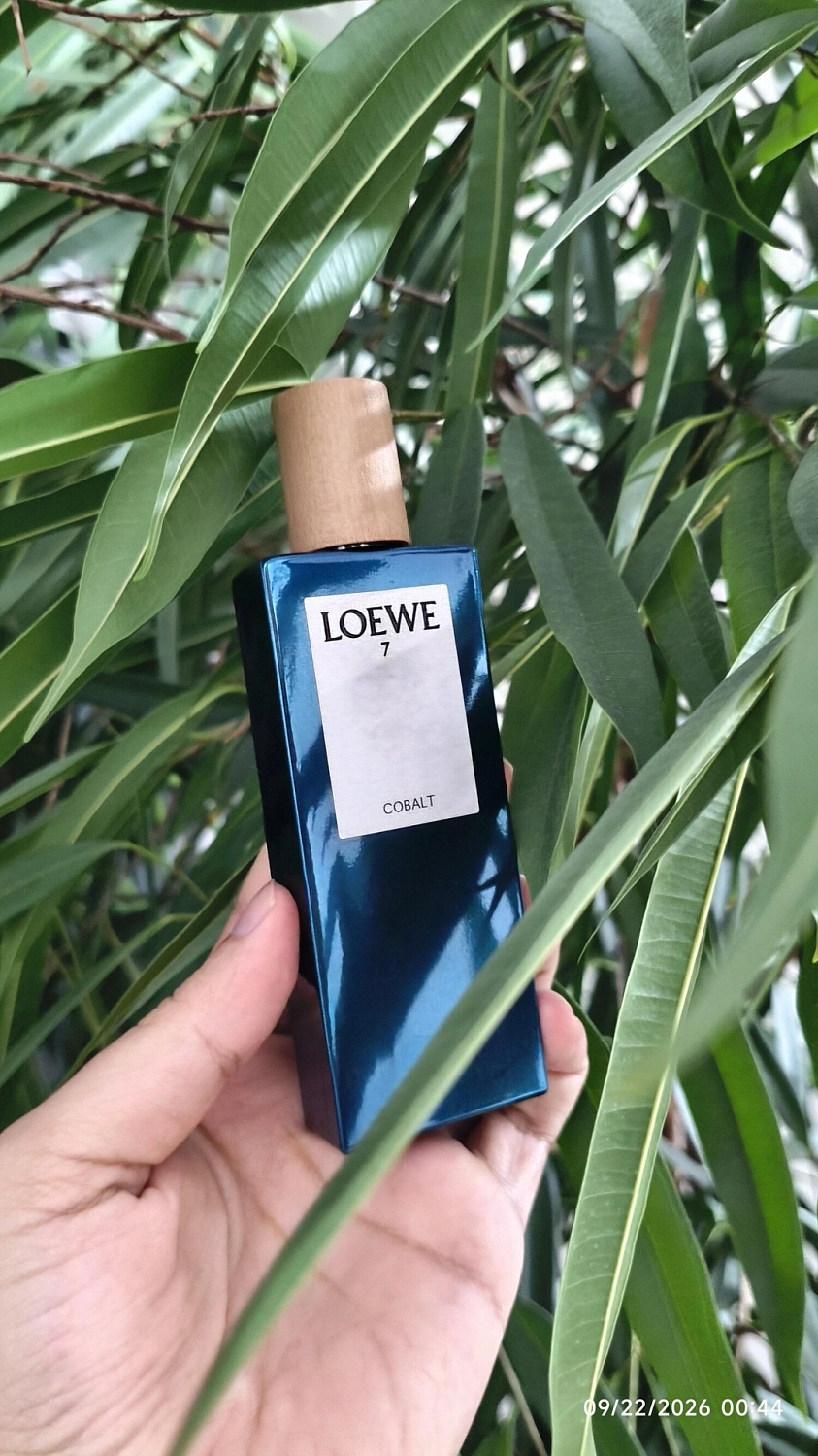 Loewe 7 Cobalt