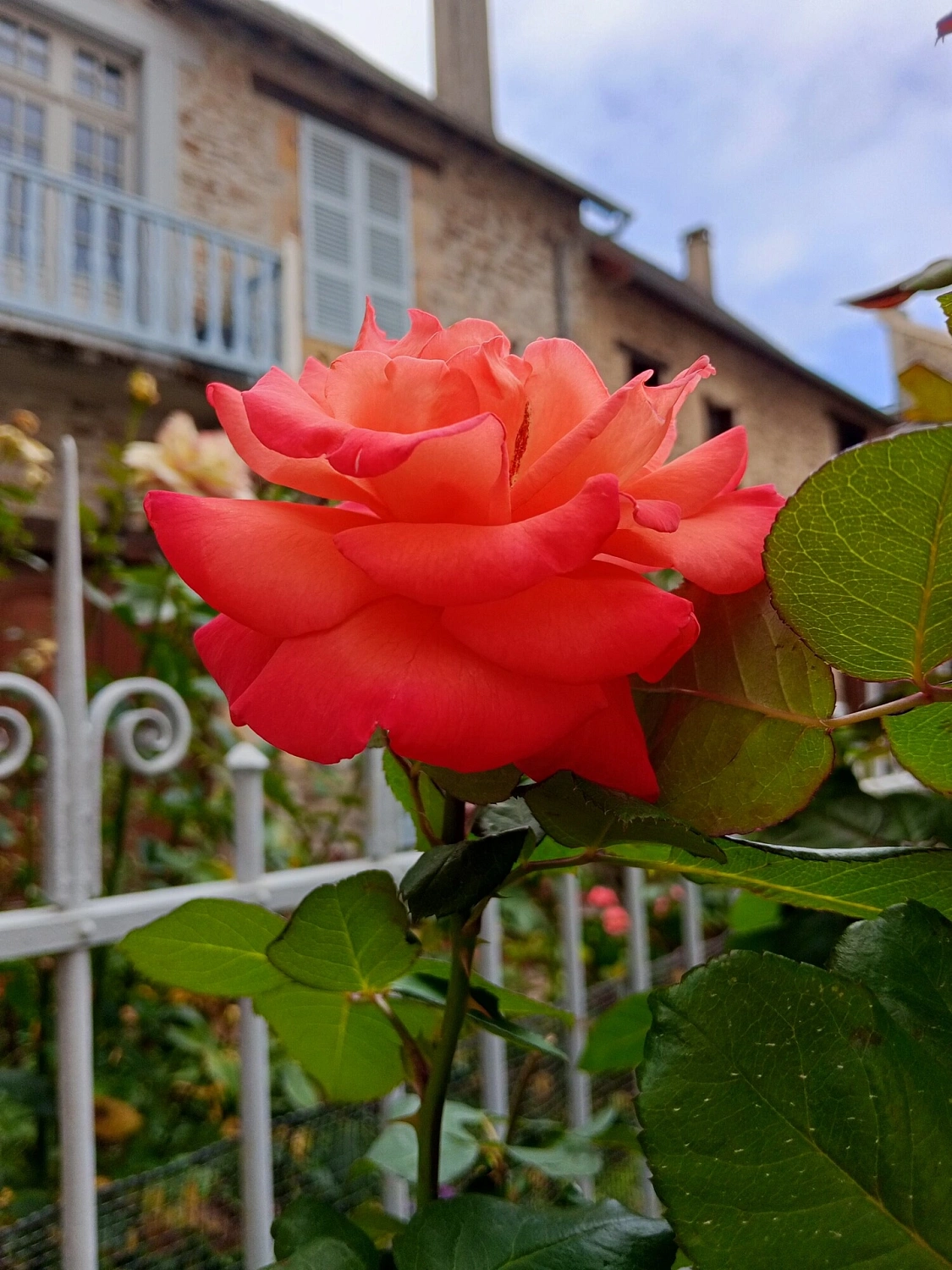 Heeley Parfums Rose Aria