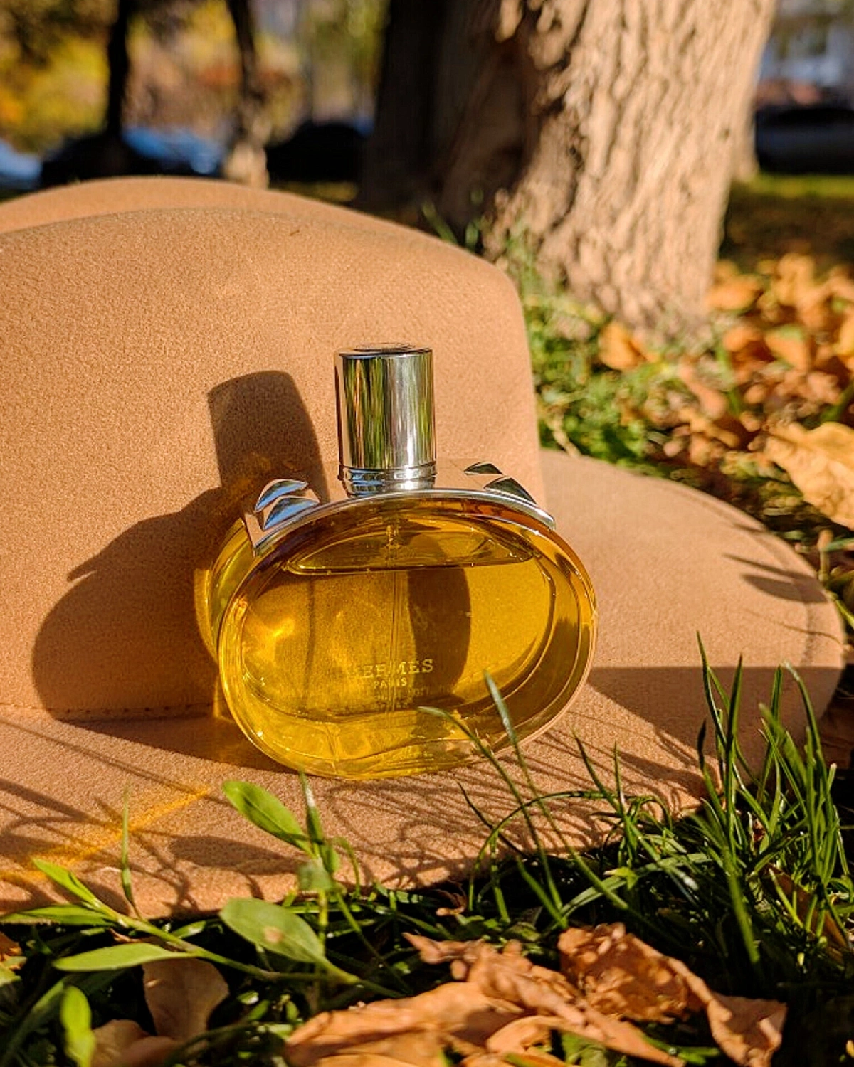 Hermès Barenia Intense