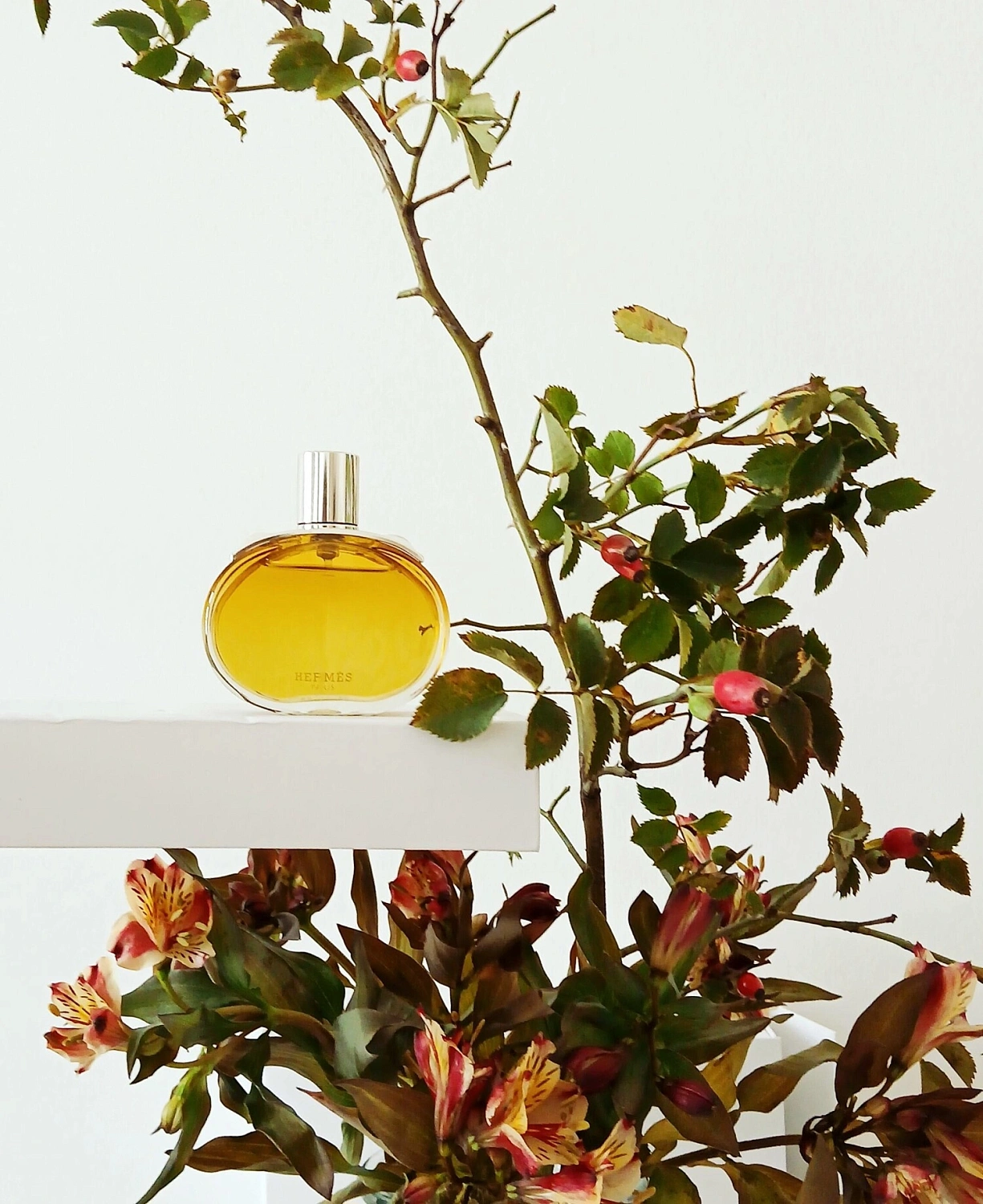 Hermès Barenia Intense