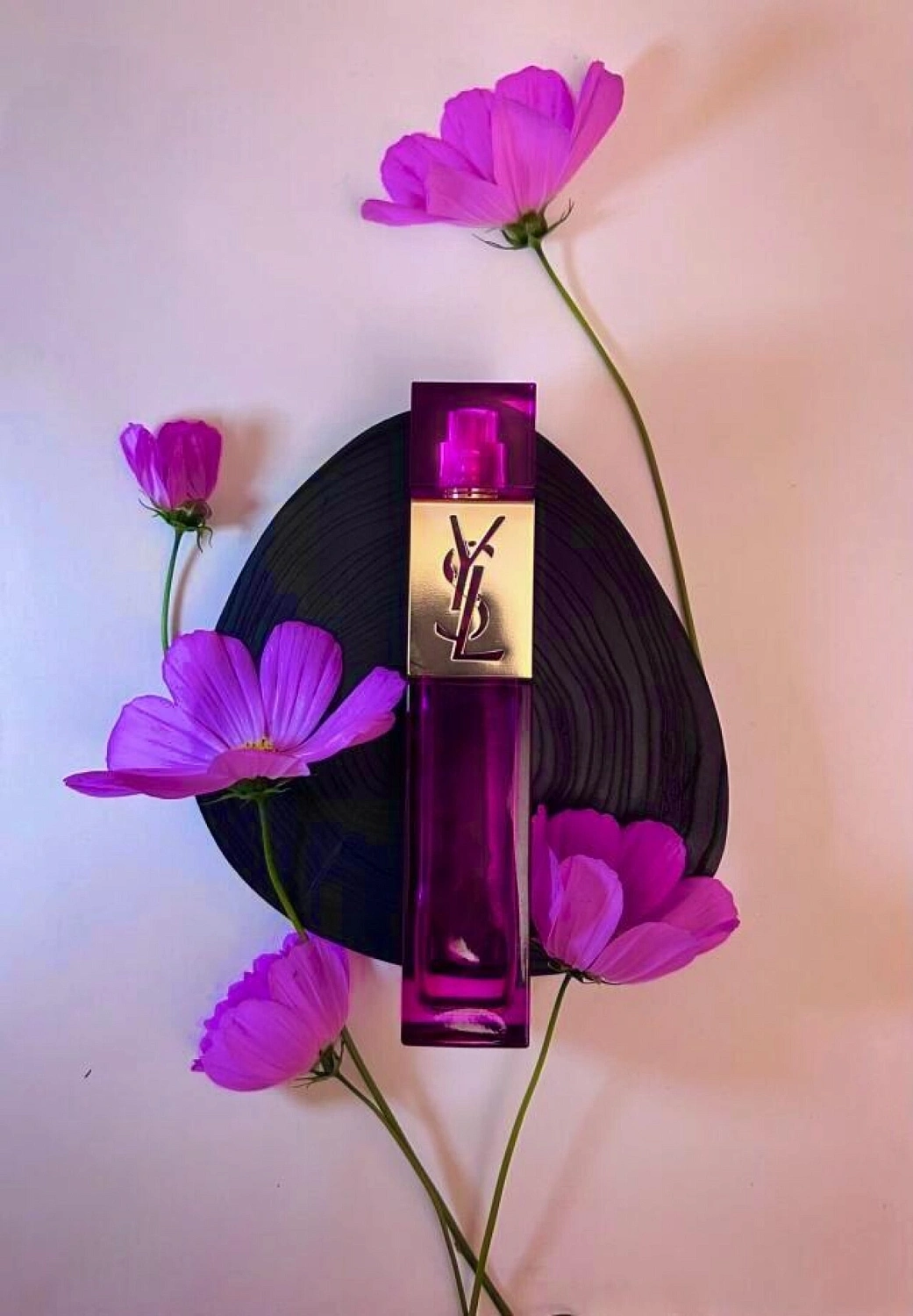 Yves Saint Laurent Elle 2024
