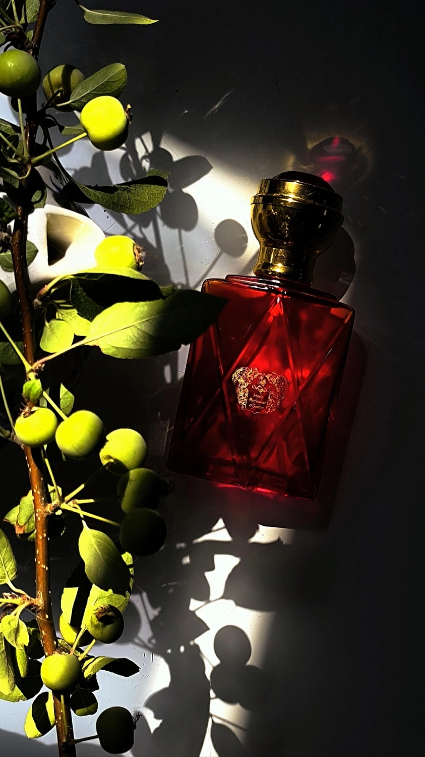 Maître Parfumeur et Gantier Centaure