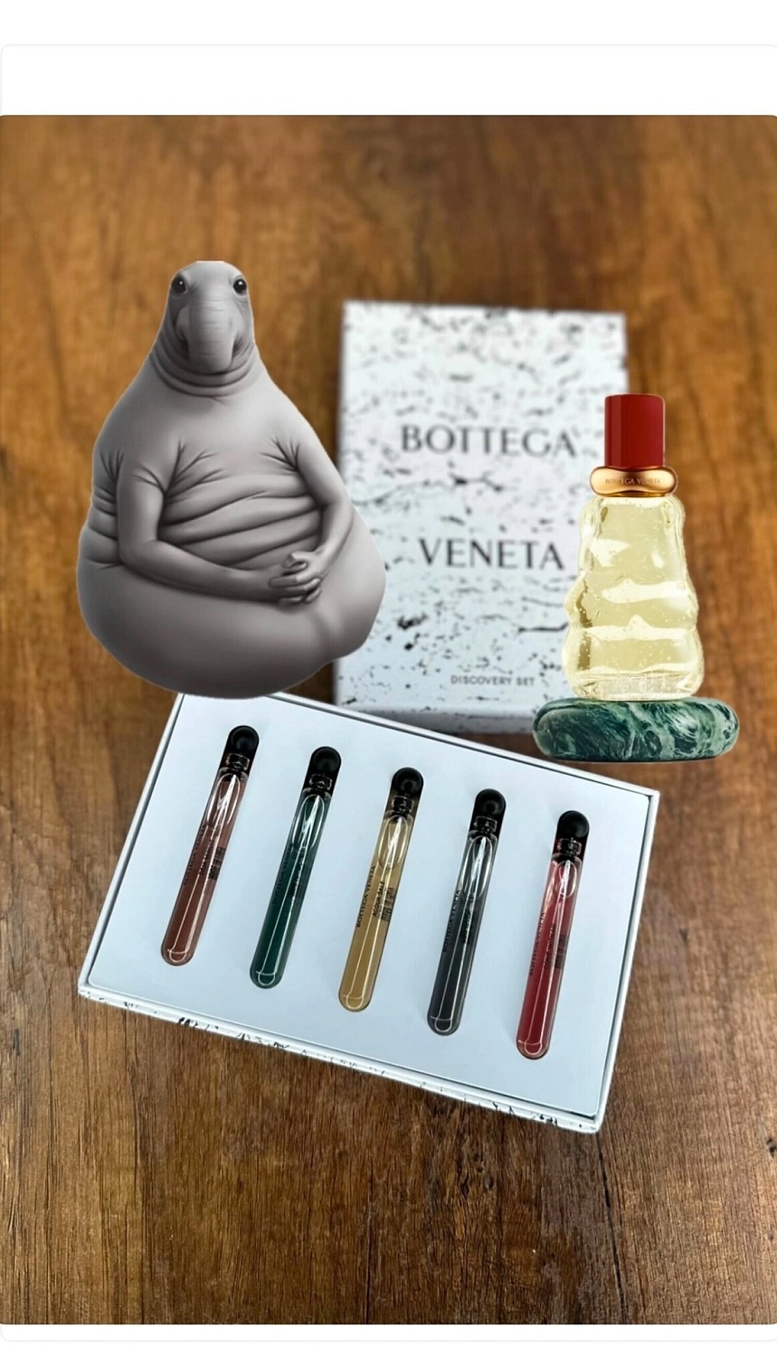 Bottega Veneta Come With Me